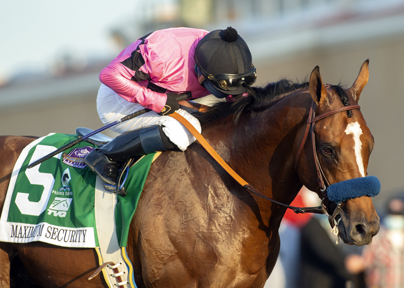 Tvg Online Horse Betting